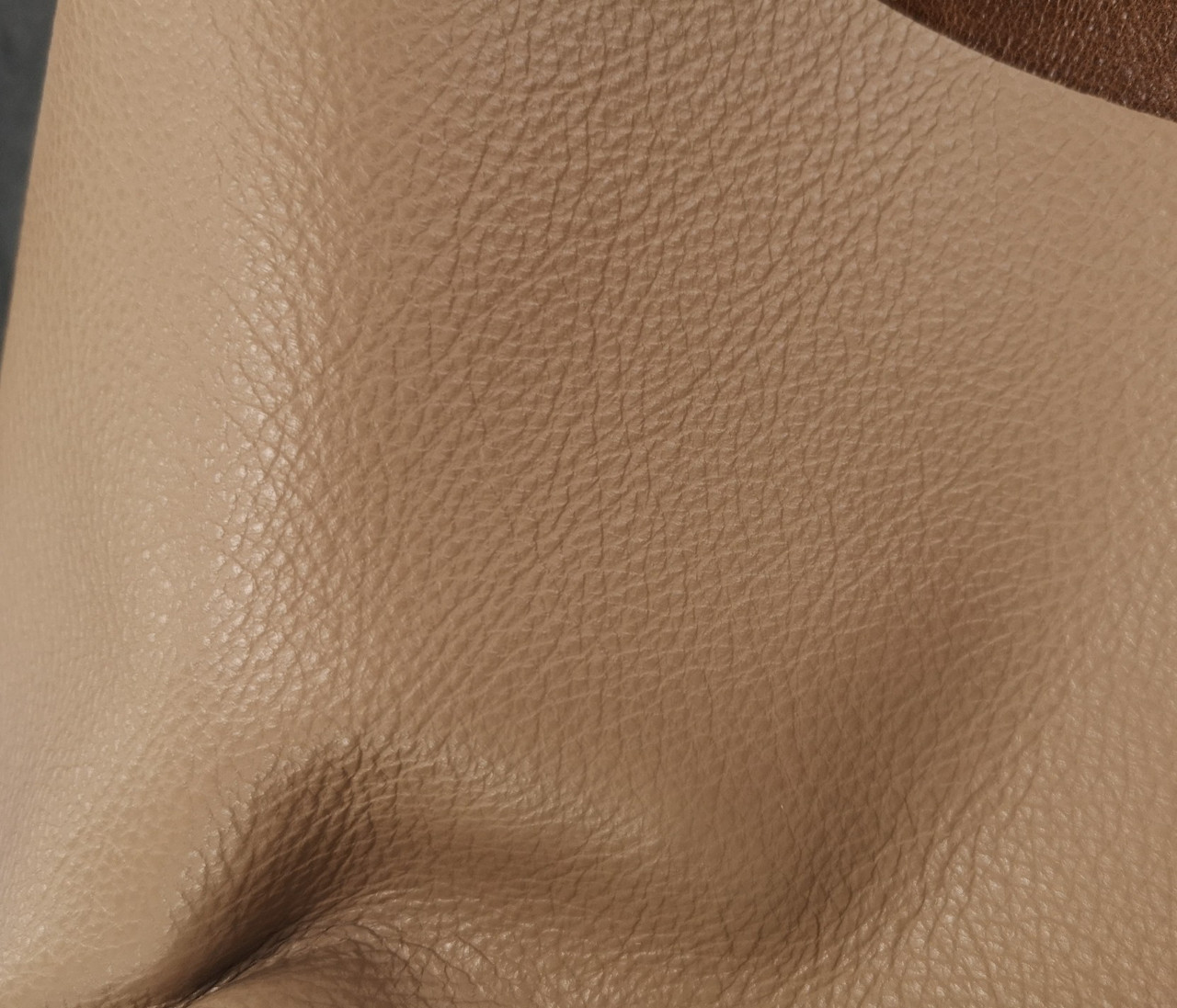 Шкіра для меблів Гладка, 1, Бежевий, фото 1