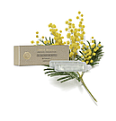 Змінний блок в автомобільні парфуми Rituals Refill Orris Mimosa Car Perfume, фото 2