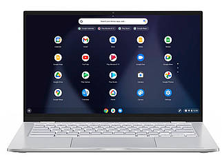 Ноутбук Asus C425 Chromebook (C425TA-M364)