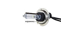 Ксенонова лампа Infolight H7 5000К +50%