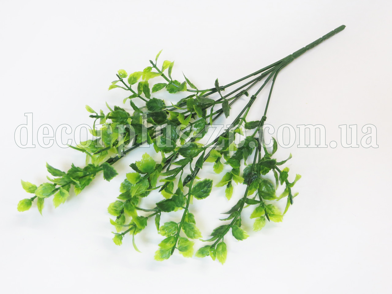 Букет майоран, фото 1