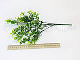 Букет майоран, фото 2