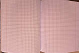 Зошит для конспектів 96арк. Пір'їнка Ф В-5 (блок - писальний папір 55г/м2, клітина, червоні поля, обкладинка, фото 3