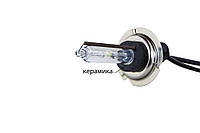 Ксенонова лампа Infolight H7 4300K +50%