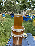 0,5 л (700 грам) Мед різнотрав'я з гречкою 2023 р, фото 6