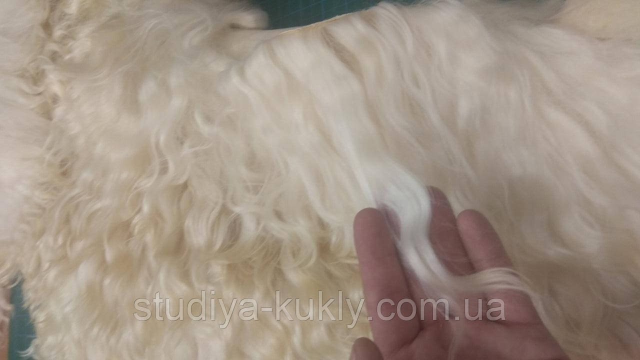 Волосся для ляльки, на шкурі довжина 20-25 см. Од. вимірювання 5*10 см. Пухнаста. Ангорська коза.