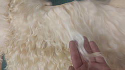 Волосся для ляльки, на шкурі довжина 18-22 см. Од. вимірювання 5*10 см. Пухнаста. Ангорська коза.