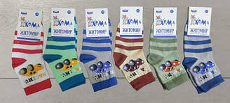 Шкарпетки для хлопчика демісезонні середні, Собачка, Майстер (розмір 12-14)