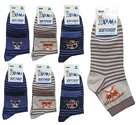 Шкарпетки для хлопчика демісезонні середні, Тигр+смужки, Майстер (розмір 18-20)