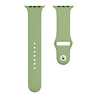 Ремешок для Apple Watch Band Silicone One-Piece Size-S 42/44/45/49 mm Цвет 01, Mint от магазина style & step