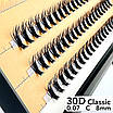 Накладні пучкові вії Nesura Eyelash Classic 30D, 0,07, C, 8 мм, 60 пучків Несура, фото 3