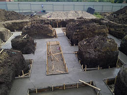 Андрій Роша, залита подушка