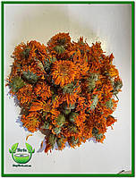 Календула цвіт 1кг