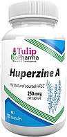 Гуперзин А (Huperzin A) 250 мкг Tulip BioPharma - 120 капсул