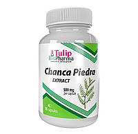 Экстракт Чанка Пьедра (Chanca Piedra) 500 мг Tulip BioPharma – 90 капсул
