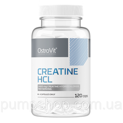 Креатин гідрохлорид OstroVit Creatine HCL 2400 мг 120 капс., фото 2