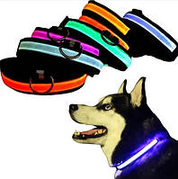 Ошейник для Собак с Подсветкой и Зарядкой от USB Animals
