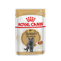 Royal Canin British Shorthair Adult 85 г влажный корм для котов Роял Канин Британец