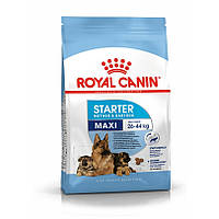 Royal Canin Maxi Starter Mother & Babydog 4 кг повседневный сухой корм для щенков и беременных сук Роял Канин