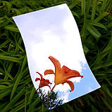 Акрилове нерозбивне дзеркало самоклейка 27х42СМх2ММ, фото 2