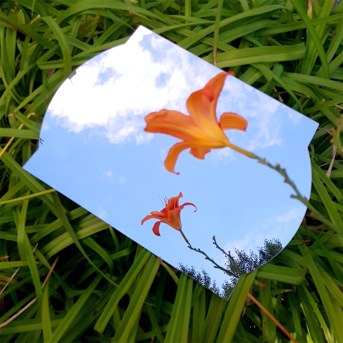 Акрилове дзеркало самоклеюче настінне 30х40СМх2мм, фото 1