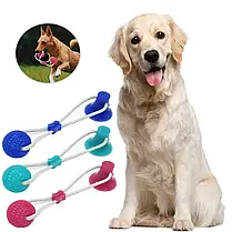 Інтерактивна іграшка для собак і кішок канат на присосці з м'ячем Pet molar toys Интерактивная іграшка для соба, фото 3