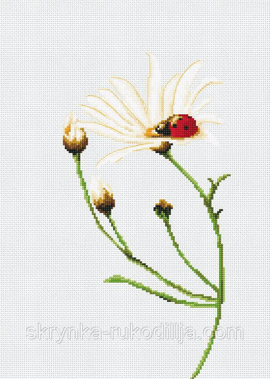 Набір для вишивки хрестиком B 2246 Спілкування (жук) Luca-S (Aida 18 Zweigart)