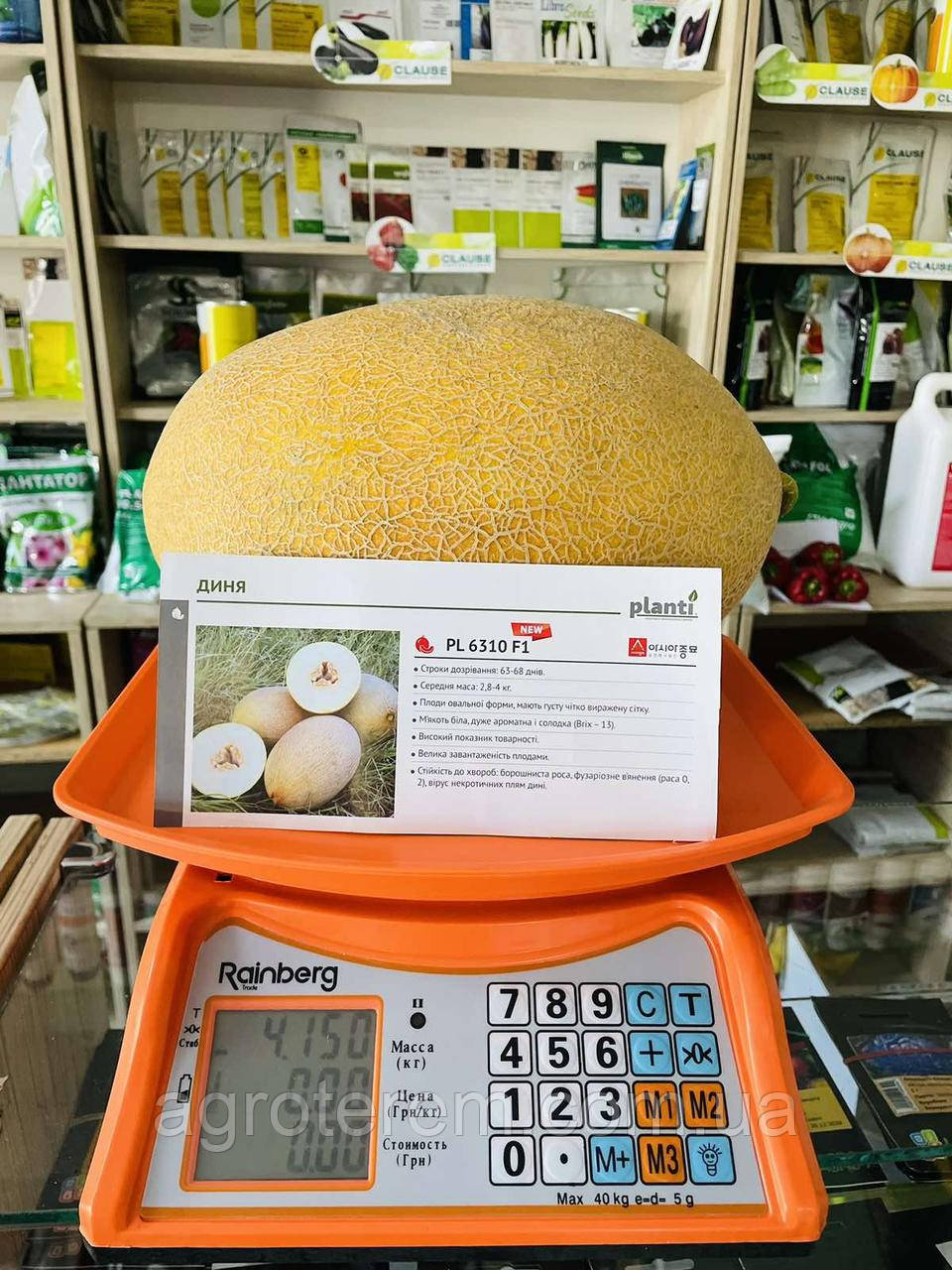 Диня PL 6310 F1