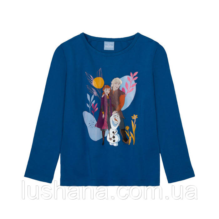 Дитячий реглан кофта лонгслів Frozen для дівчинки р.98-104 - 2-4 роки, фото 1