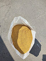 Гірчиця (жовта) 1 кг добрива, медоносна та кормова культура відмінний сидерат