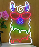 Настінний неоновий світильник нічник Альпака 41*22 см, фото 4