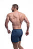 Atlet чоловічі труси боксери сімейні Стандарт 000037, фото 2
