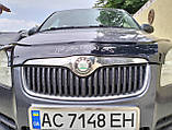 Мухобійка Skoda Fabia II (5J) хетч/унів 2007-2010 AV-Tuning, фото 3