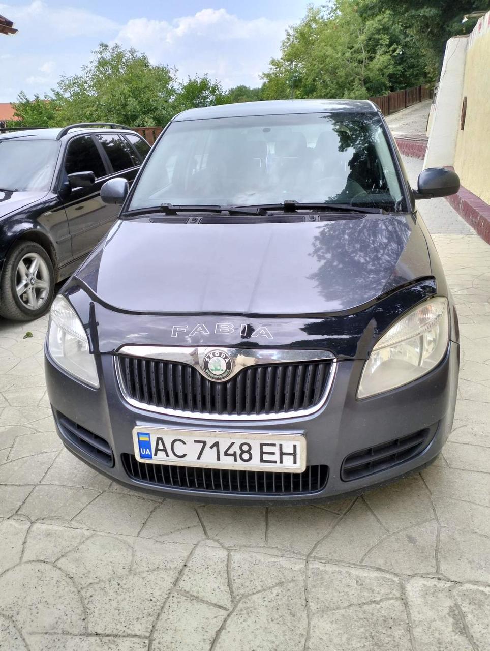 Мухобійка Skoda Fabia II (5J) хетч/унів 2007-2010 AV-Tuning