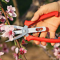 Ножницы садовые для обрезки деревьев Красный секатор для срезания веток, секатор для обрезки винограда (TO)