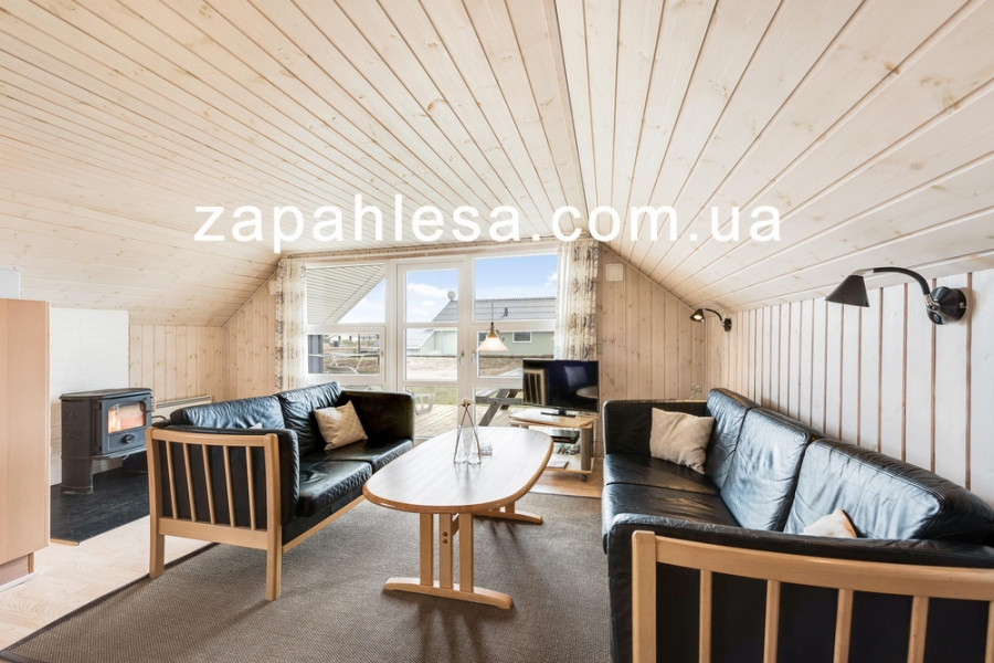 Вагонка Дружба, фото 1