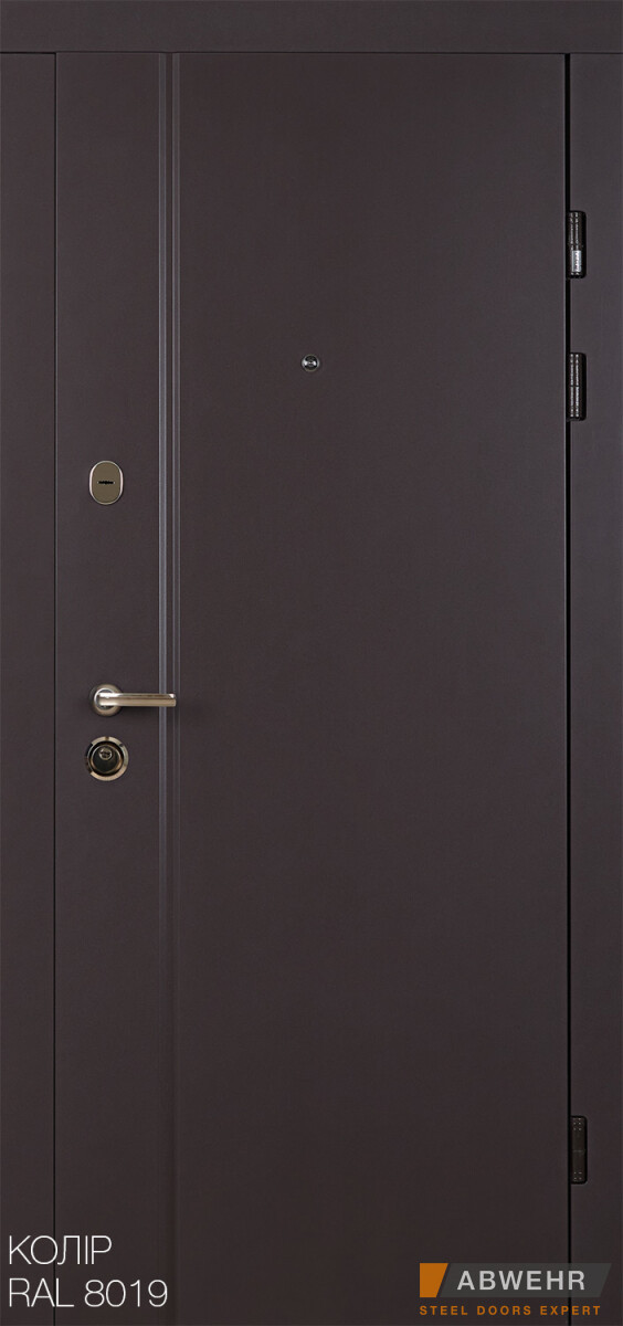 Вхідні двері з терморозривом модель Astera (Атмосферостійка фарба HardLine + вулична плівка) комплектація, фото 1