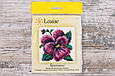 Набір для вишивання бісером "Братки", L439, 11*11 см, Louise, фото 2