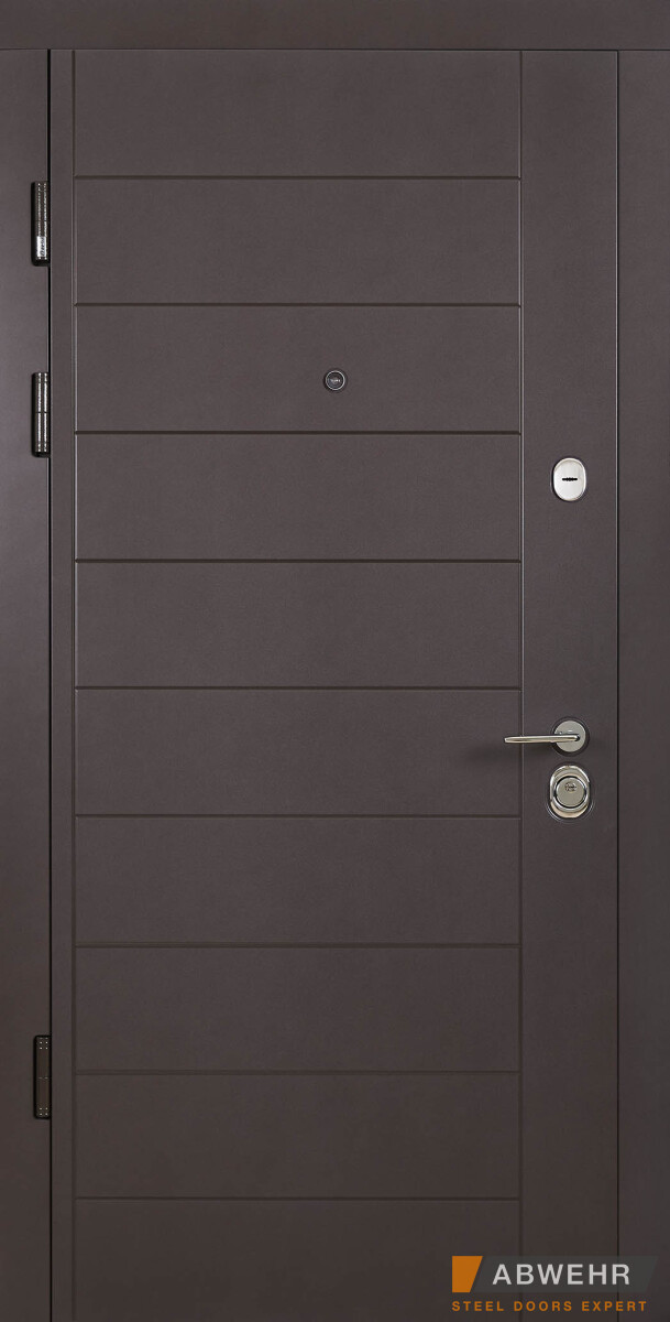 Вхідні двері модель Palermo (колір Ral 8019 + Біла) комплектація Classic, фото 1