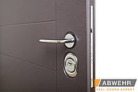 Вхідні двері модель Palermo (колір Ral 8019 + Біла) комплектація Classic, фото 4