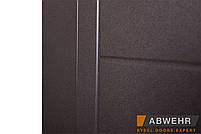 Вхідні двері модель Palermo (колір Ral 8019 + Біла) комплектація Classic, фото 5