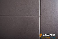 Вхідні двері модель Palermo (колір Ral 8019 + Біла) комплектація Classic, фото 7