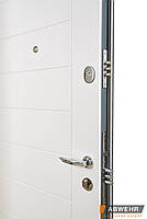 Вхідні двері модель Palermo (колір Ral 8019 + Біла) комплектація Classic, фото 8