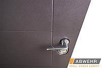 Вхідні двері модель Palermo (колір Ral 8019 + Біла) комплектація Classic, фото 9