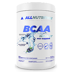 BCAA Max Support Instant - 500g Bllueberry