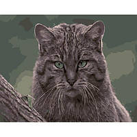 Картина по номерам Животные. Дикая кошка, , 40х50см, в термопакете, Strateg (DY177-mt)