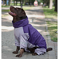 Дощовик комбінезон для великих собак крупних порід плащівка зі змійкою на спині фіолет з сірим