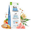 Brit Care(Брит Кеа)Dog Sustainable Adult Large Breed-Сухий корм з куркою та комахами для дорослих собак 1 кг, фото 7