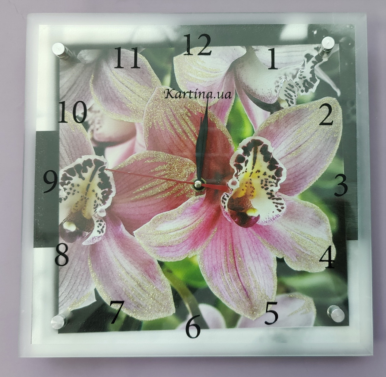 Настінний годиник під склом 25*25см (1xAA) 0905.013, фото 1