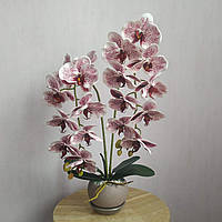 Штучна латексна орхідея VIP у пудровому керамічному кашпо на дві гілки бордовий градієнт